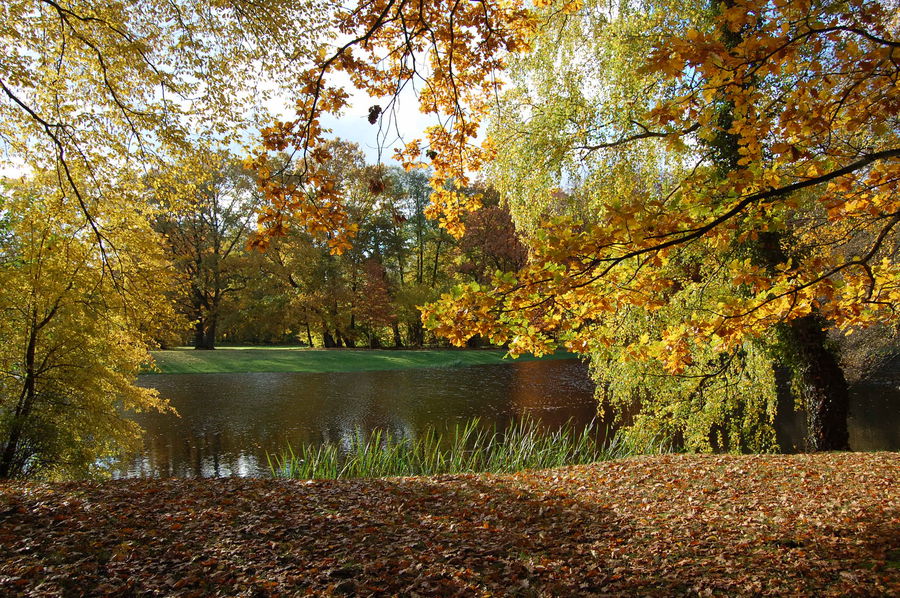 Herbstfärbung im Ludwigsluster Schlosspark am Karauschenteich