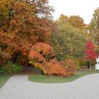Herbstfärbung im Ludwigsluster Schlosspark