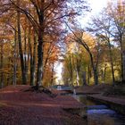 Herbstfärbung im Ludwigsluster Schlosspark LWL Kanal und St. Brücke