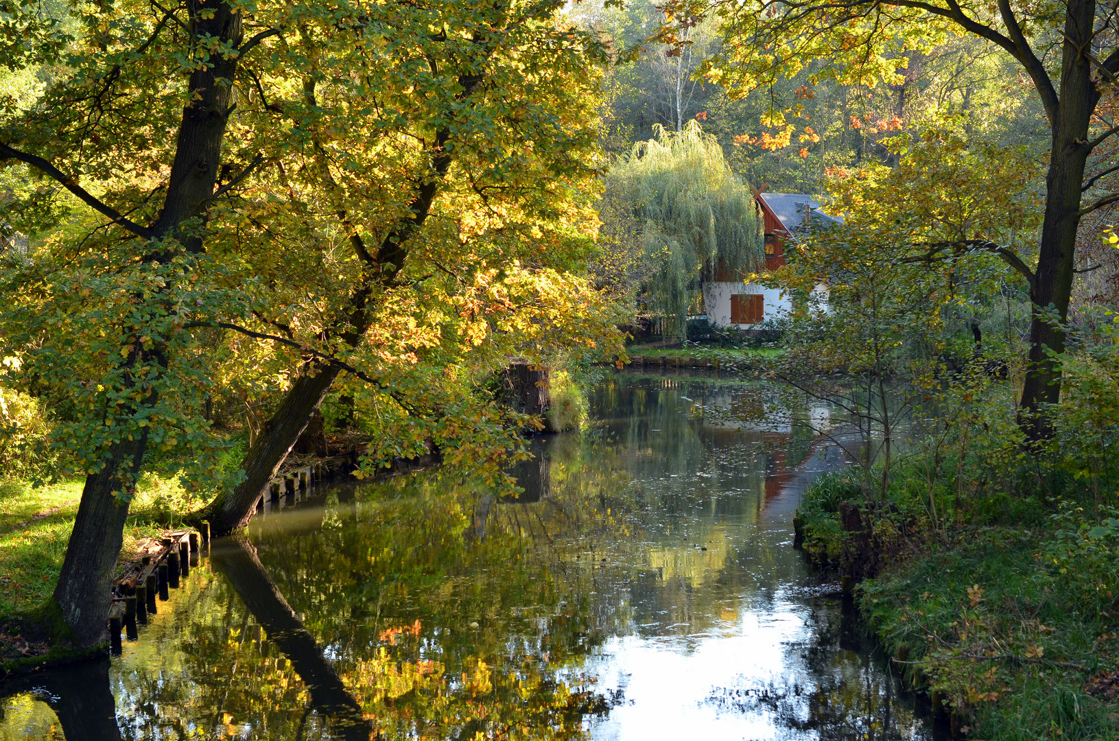 Herbstfärbung im Spreewald