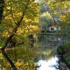 Herbstfärbung im Spreewald