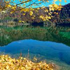 Herbstfärbung Rund um den Almsee