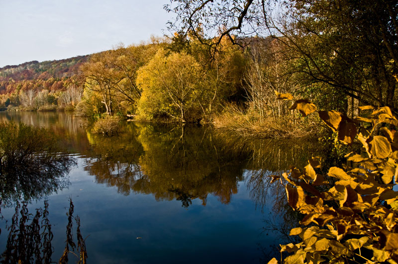 Herbstfärbung spiegelt sich im Vienenburger See