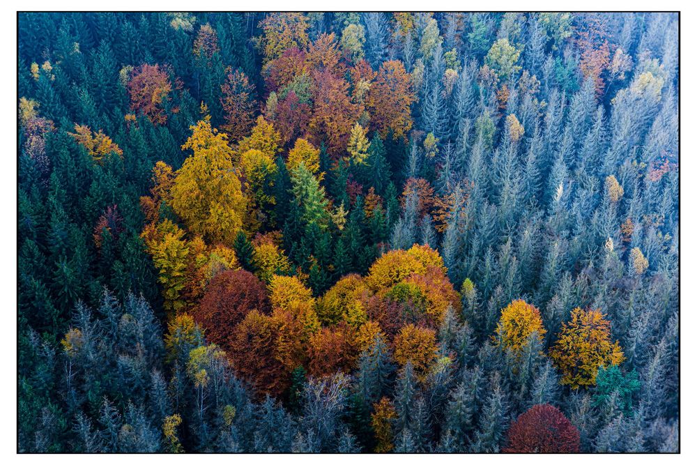 Herbstfärbungen