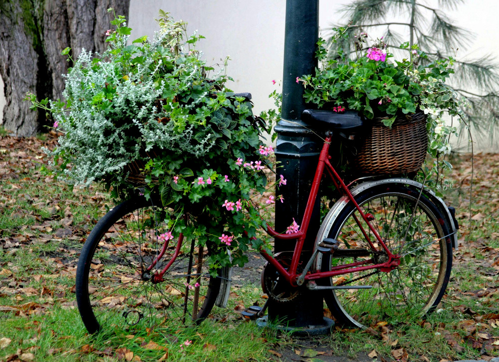 Herbstfahrrad