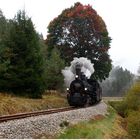 Herbstfahrt auf der Waldviertelerbahn