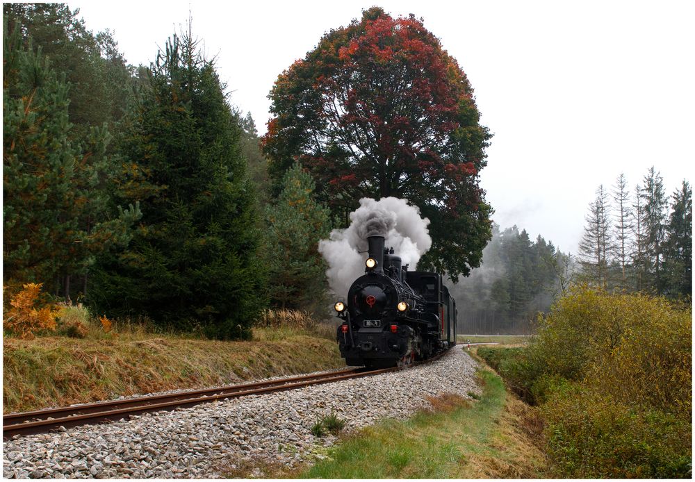 Herbstfahrt auf der Waldviertelerbahn