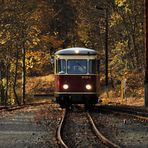 Herbstfahrt im Selketal