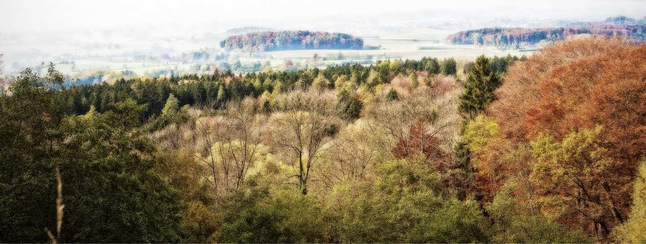 Herbstfantasie am Bodensee