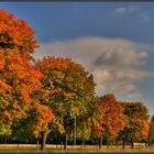 ... Herbstfarballee ...