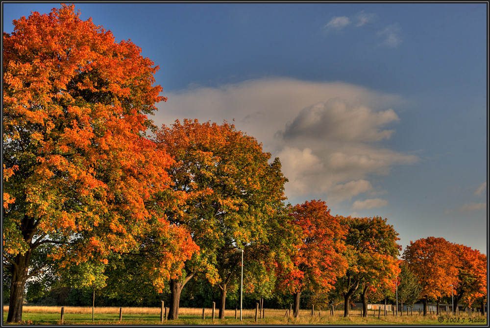 ... Herbstfarballee ...