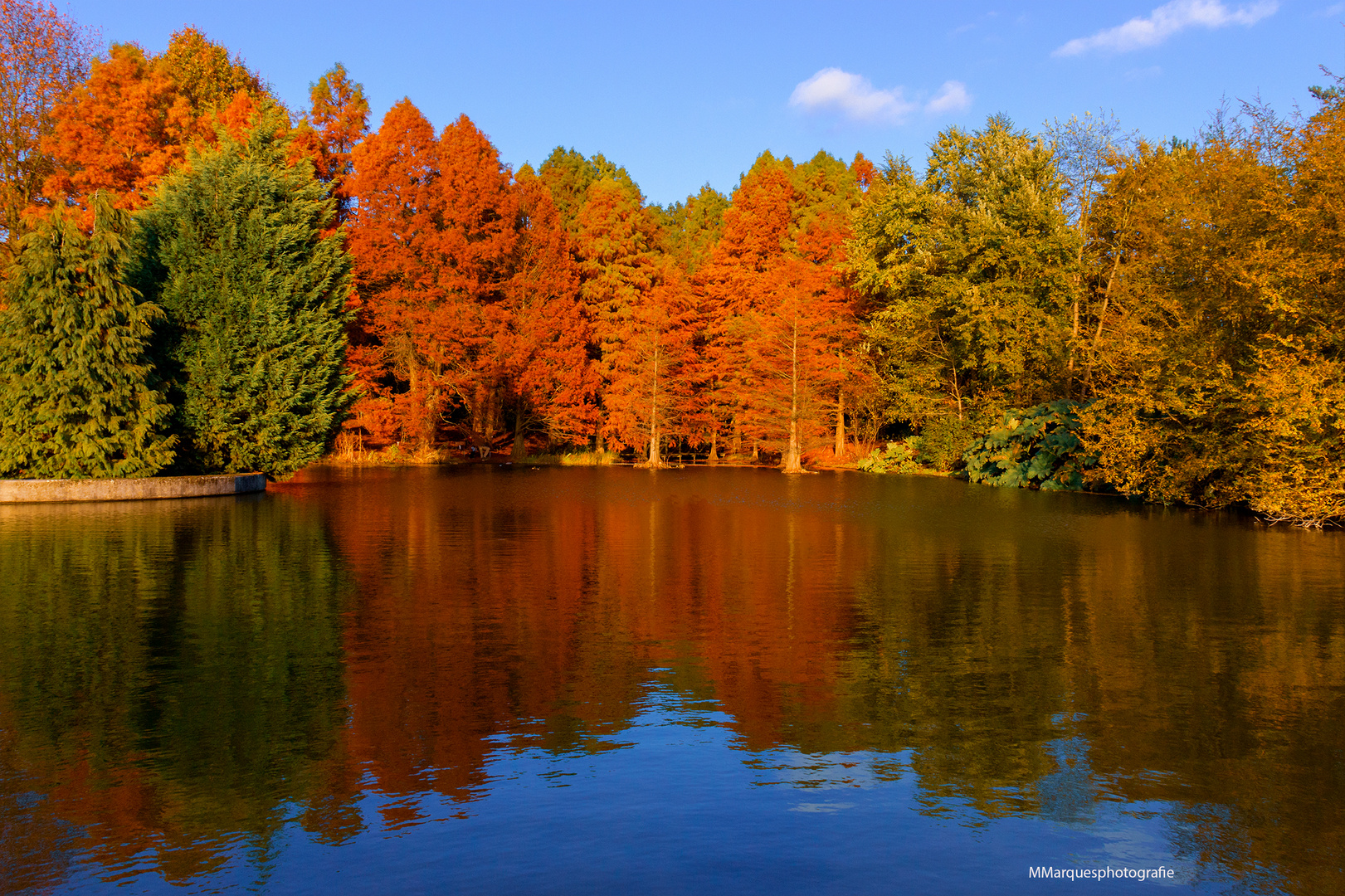 Herbstfarbe