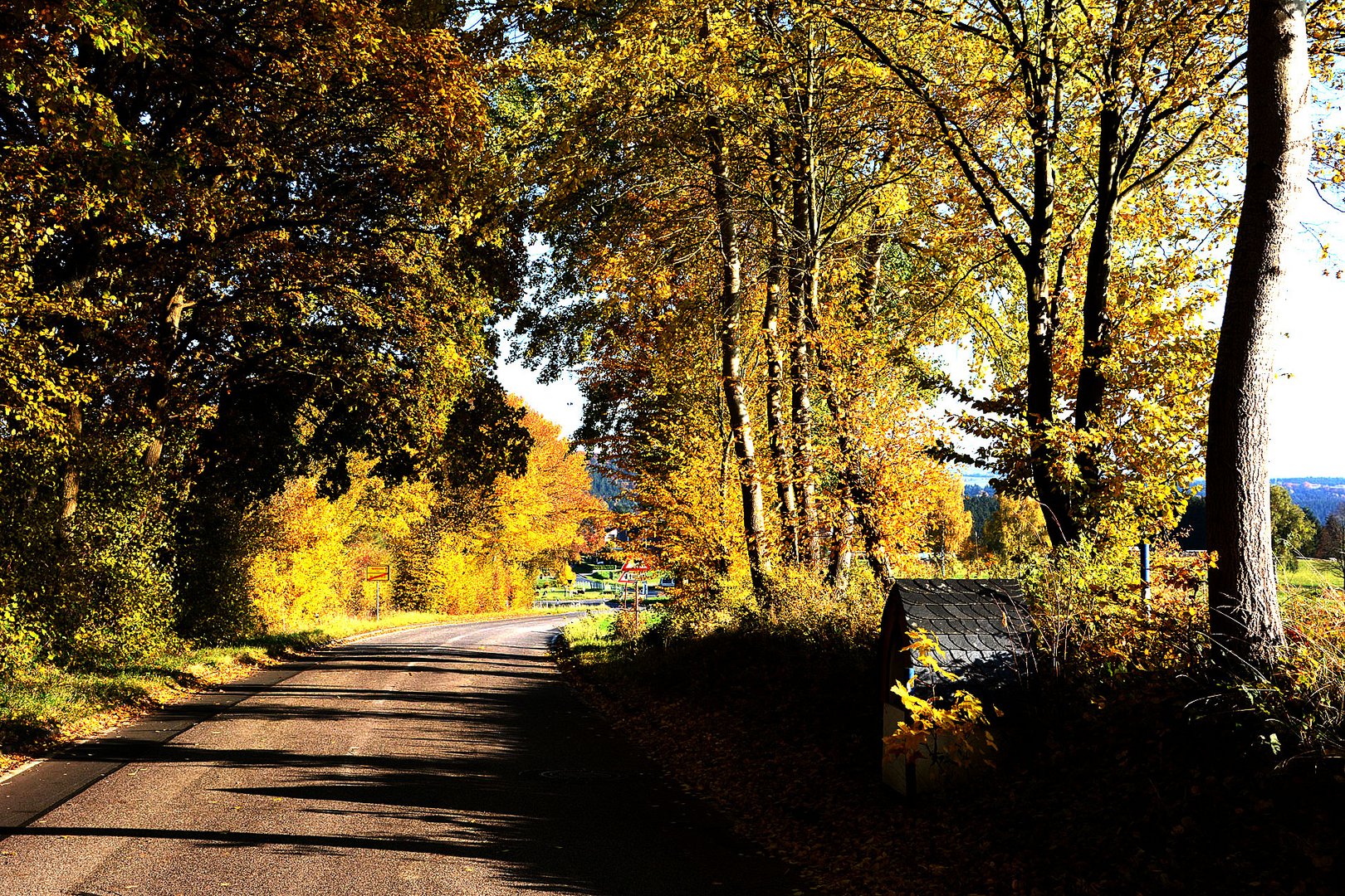 Herbstfarbe: Der Ausgang unseres Dorfes ins nächste Dorf