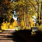 Herbstfarbe: Der Ausgang unseres Dorfes ins nächste Dorf