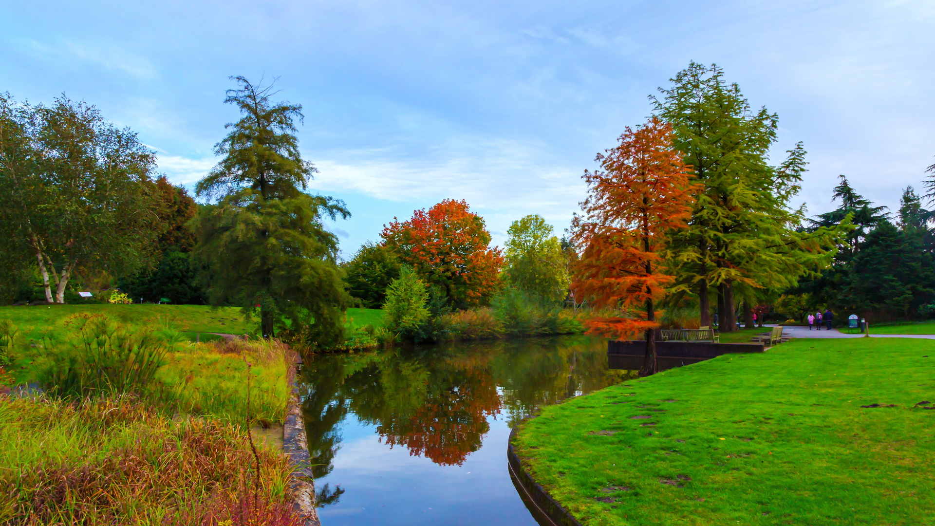 Herbstfarbe 