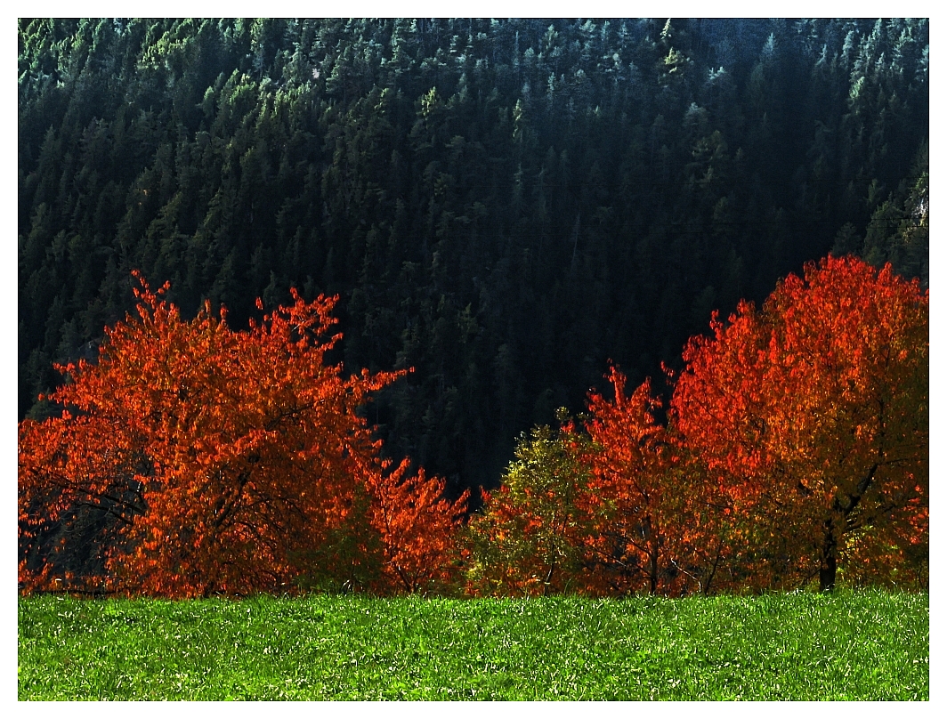 Herbstfarben