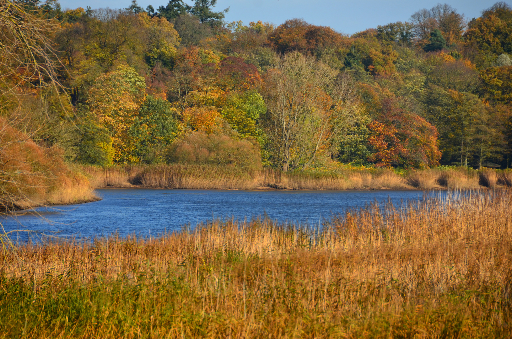 Herbstfarben