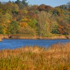 Herbstfarben