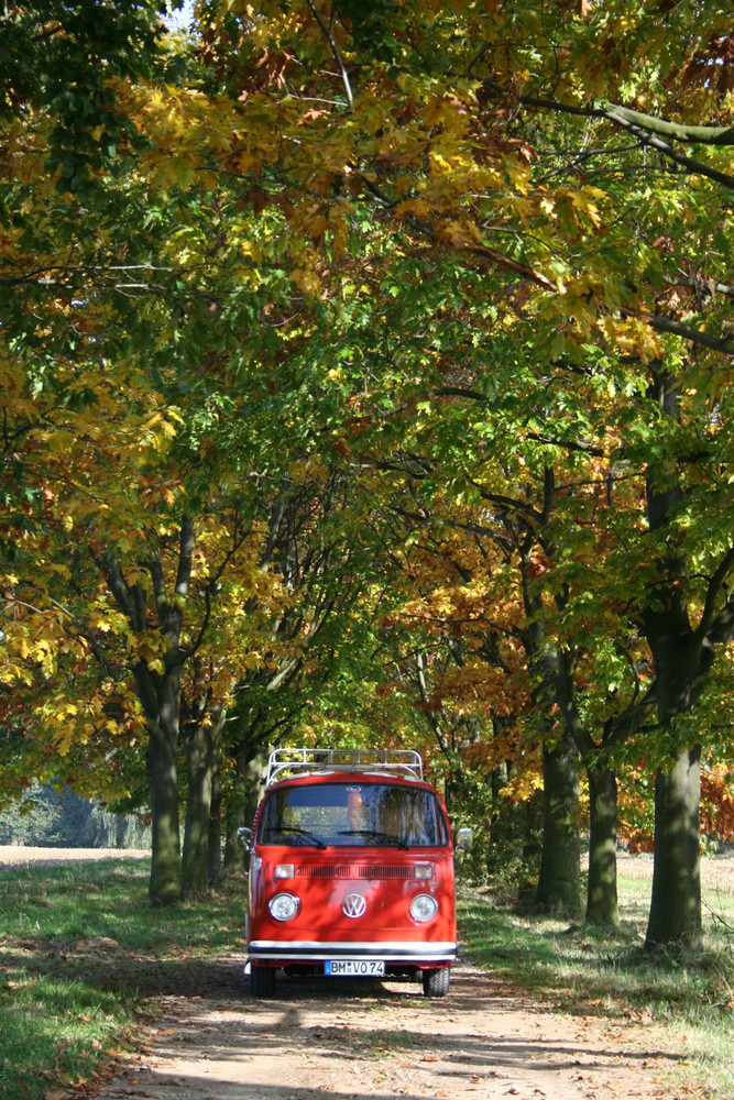 Herbstfarben