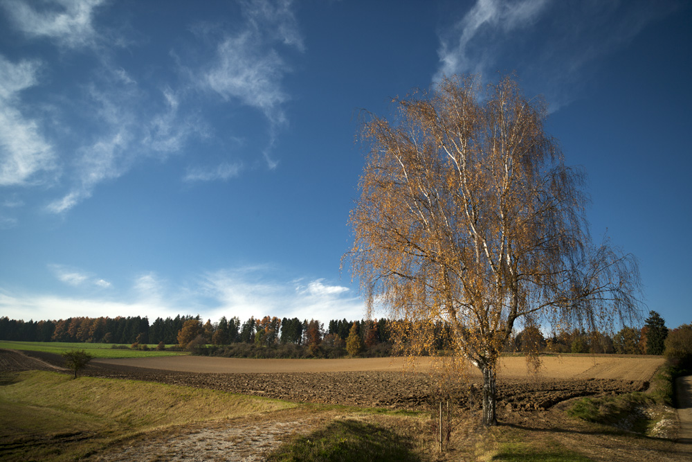 Herbstfarben