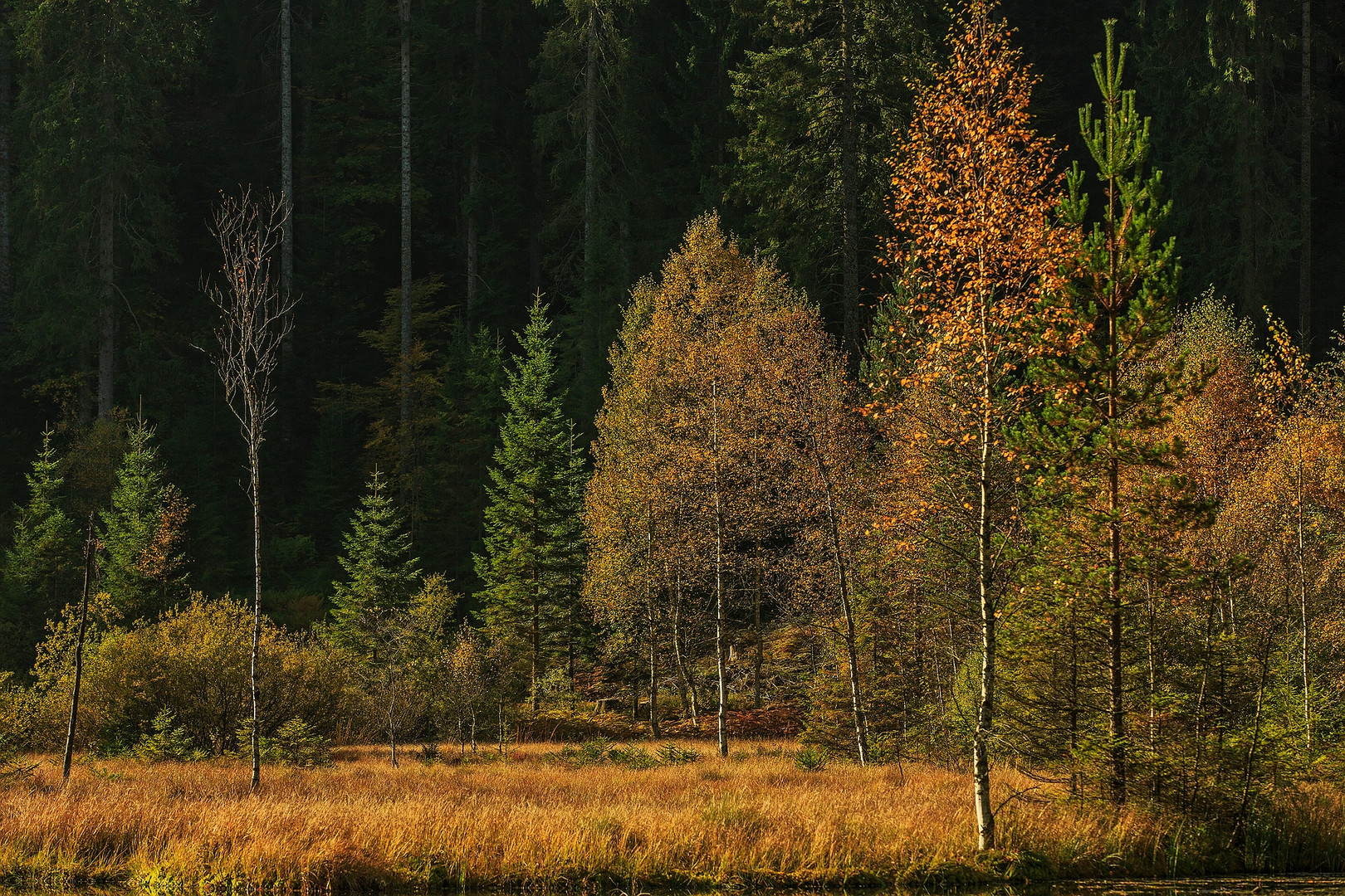 Herbstfarben