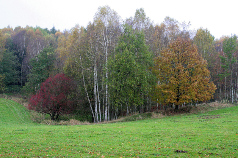 Herbstfarben