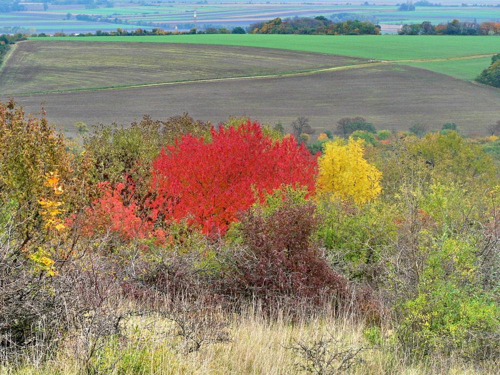 Herbstfarben