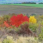 Herbstfarben