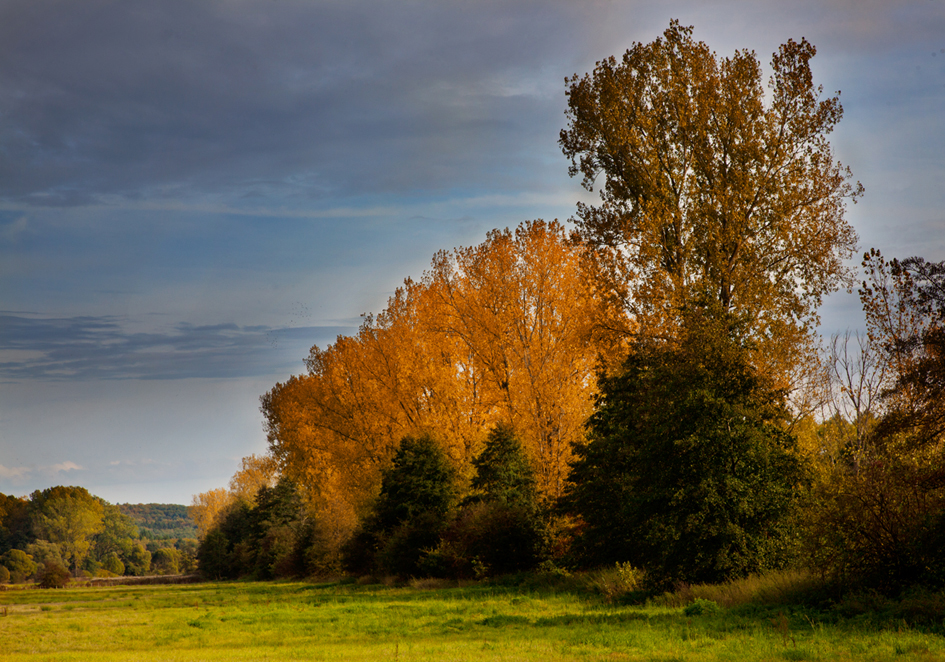 Herbstfarben