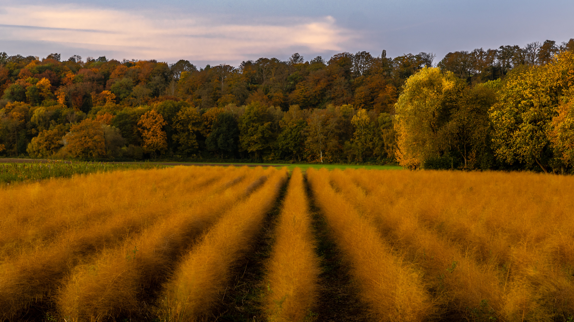 Herbstfarben