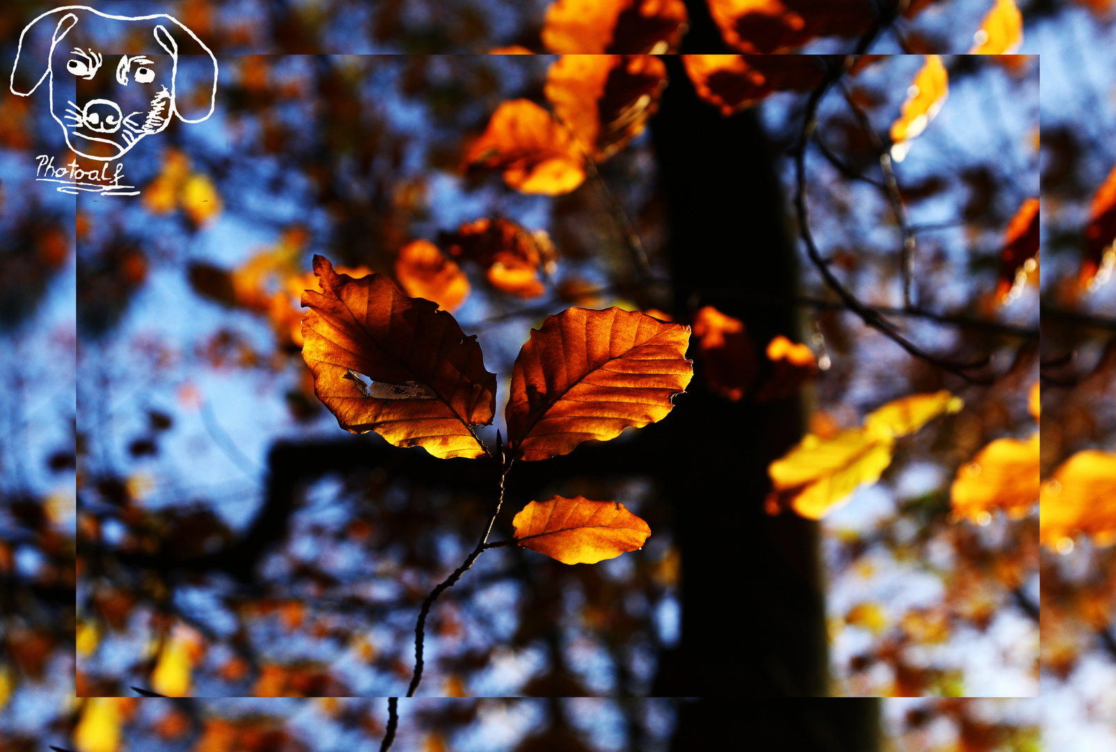 herbstfarben