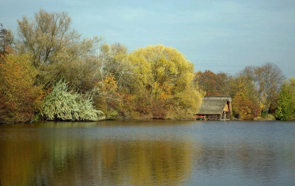 - Herbstfarben -