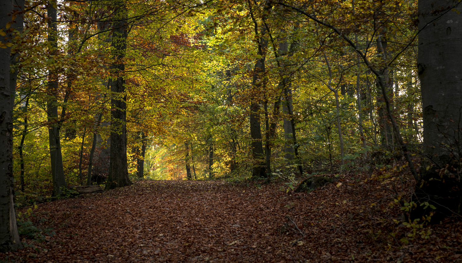 Herbstfarben