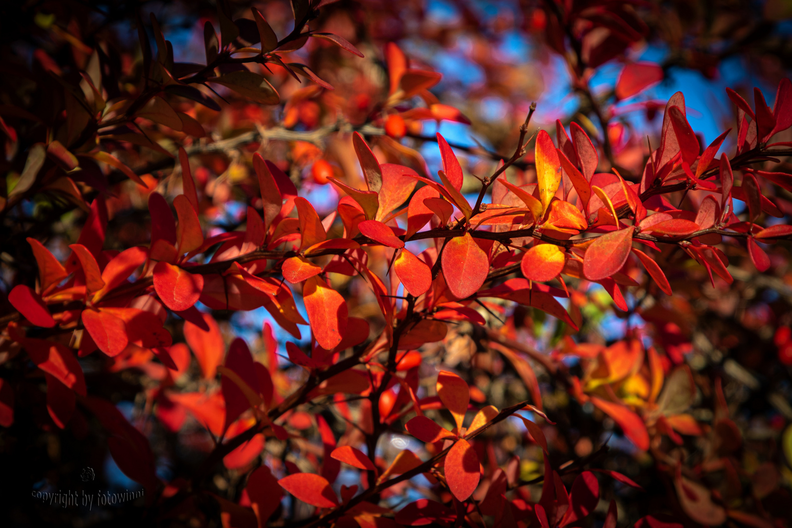 Herbstfarben