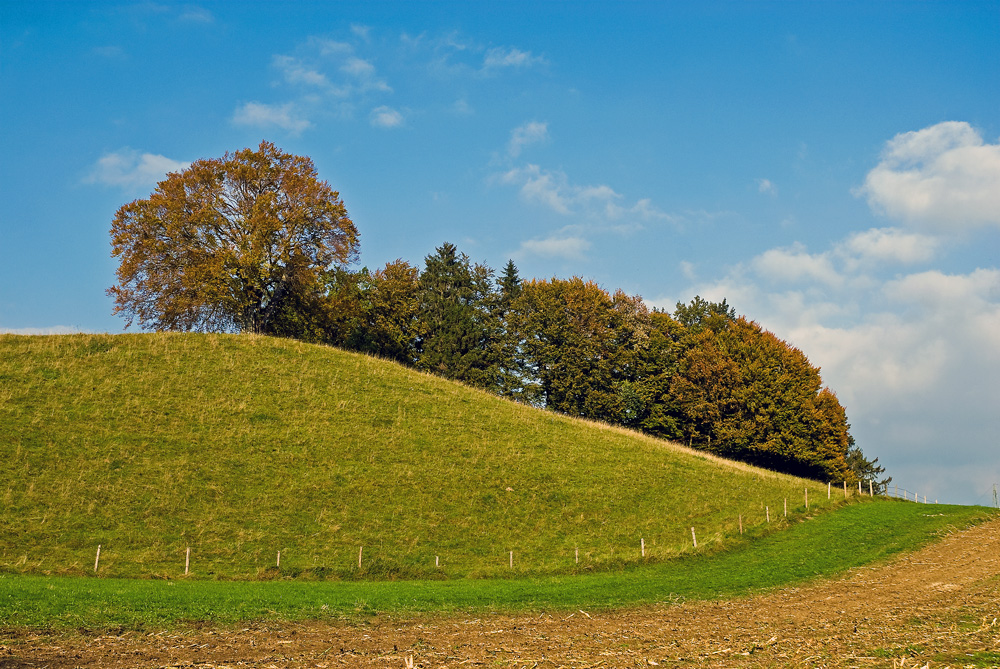 Herbstfarben