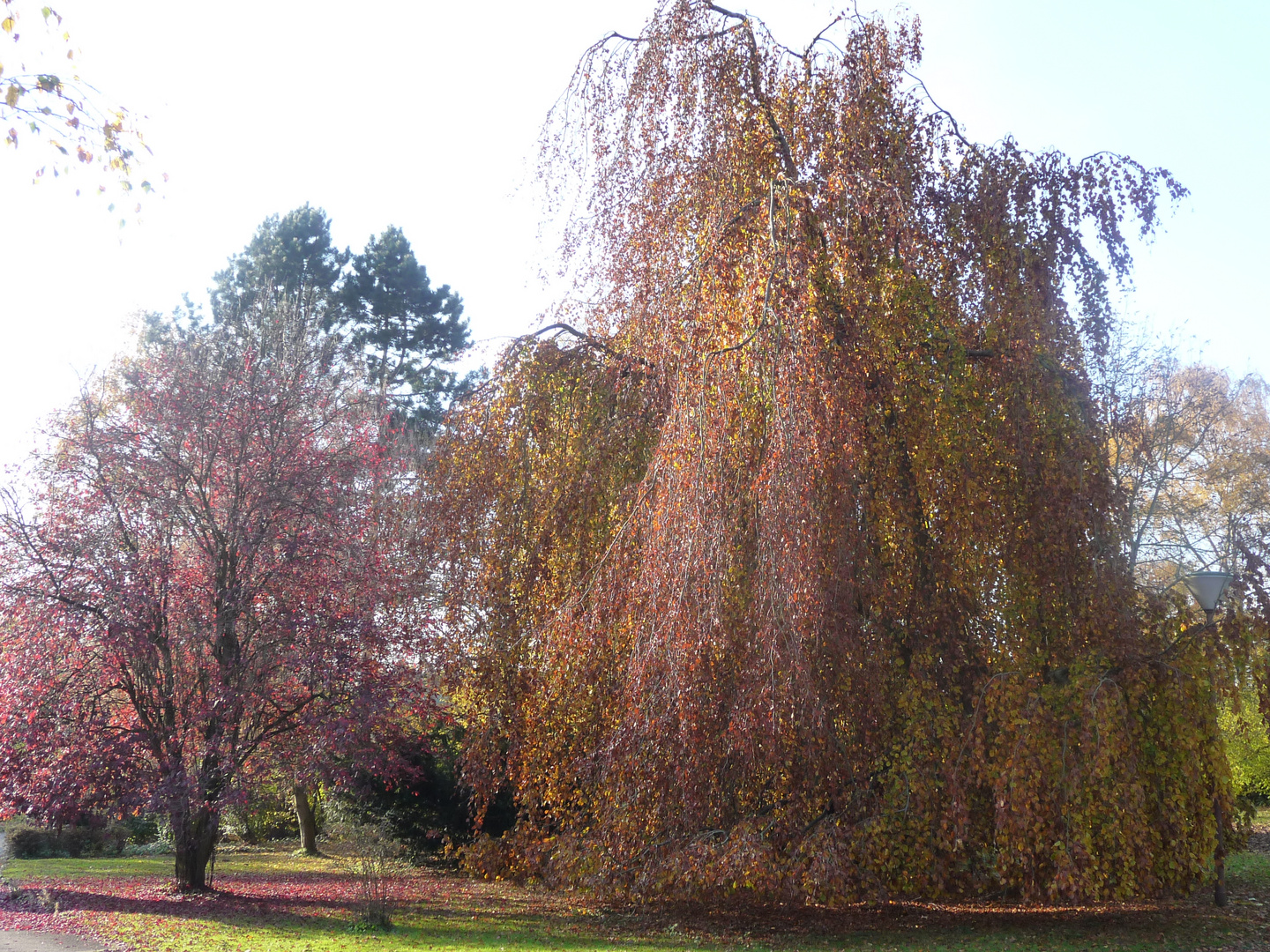 Herbstfarben