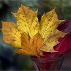 ~~Herbstfarben~~