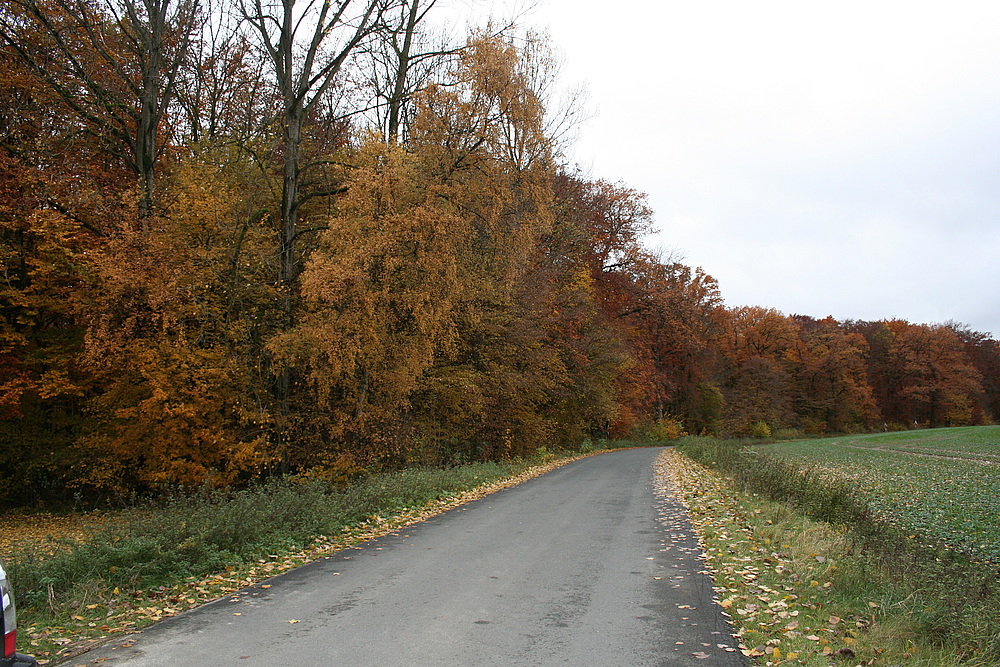 Herbstfarben