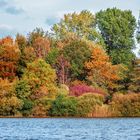 Herbstfarben 