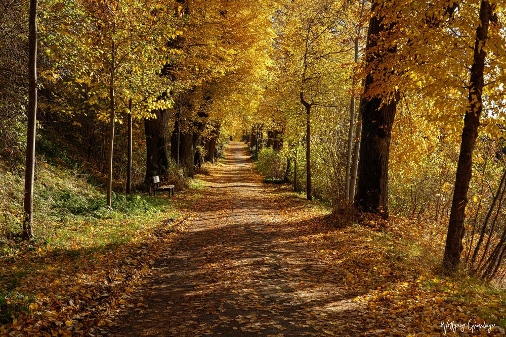 Herbstfarben