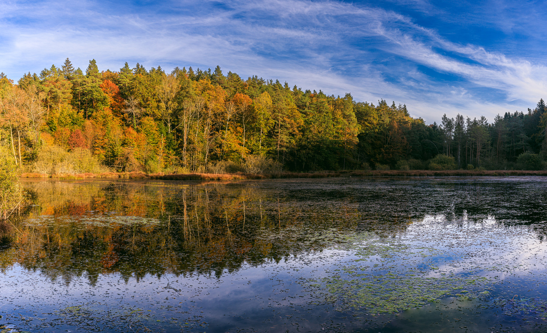 Herbstfarben