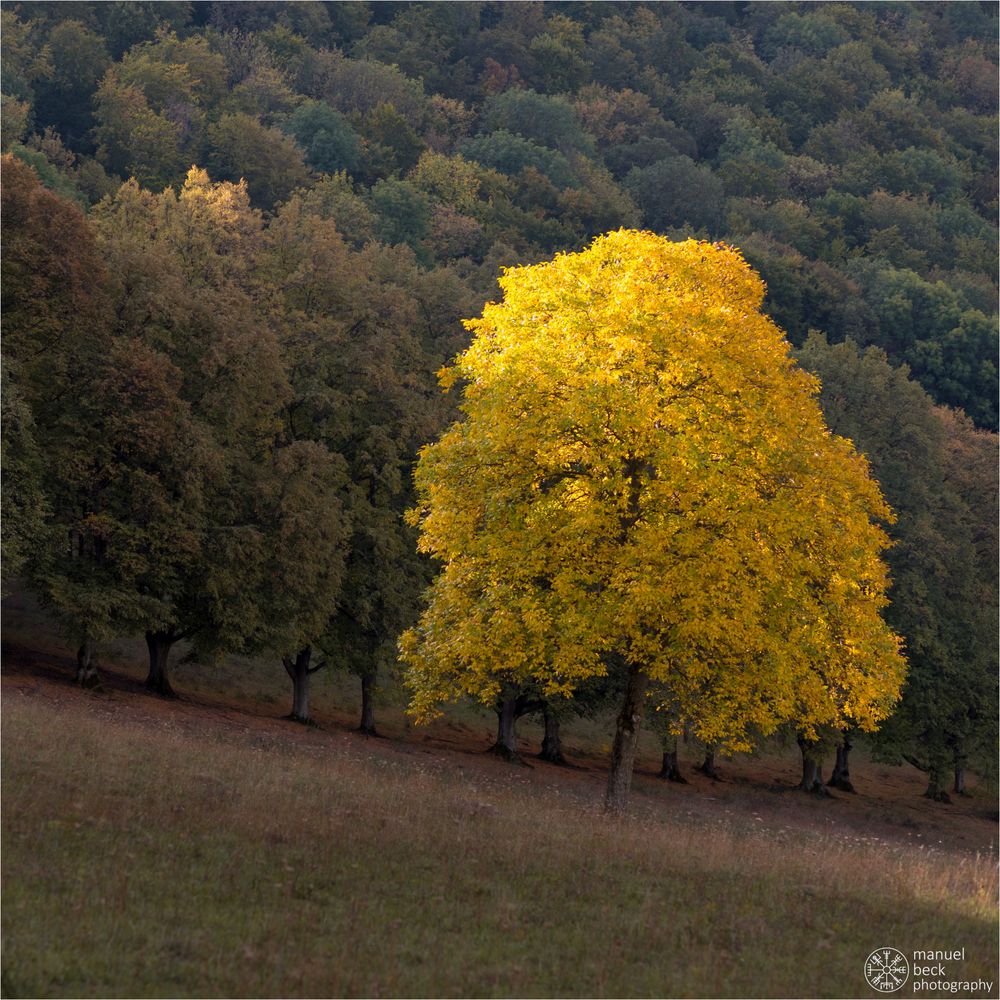 herbstfarben