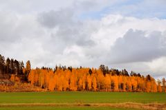 Herbstfarben