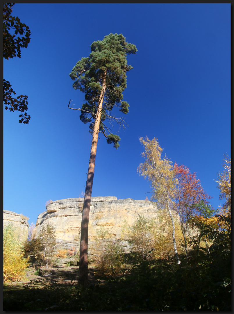 ...HerbstFarben...