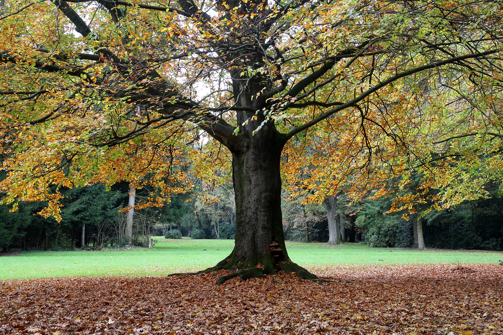 Herbstfarben