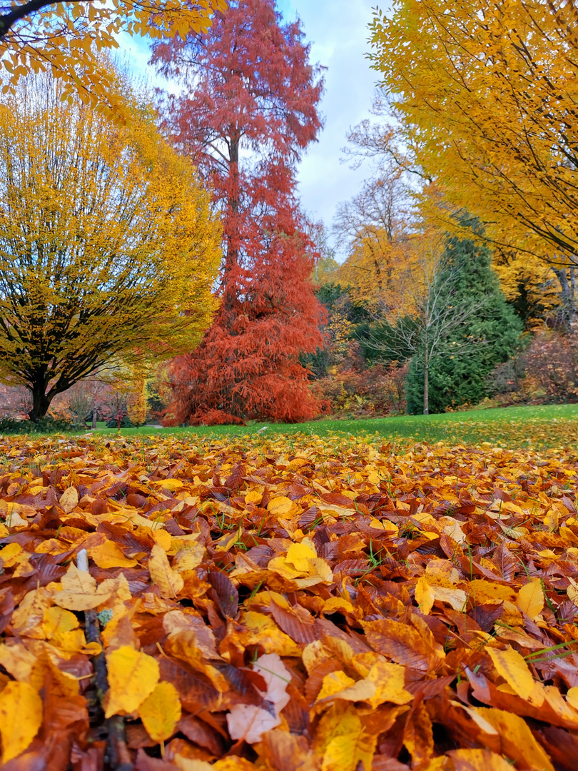 Herbstfarben 