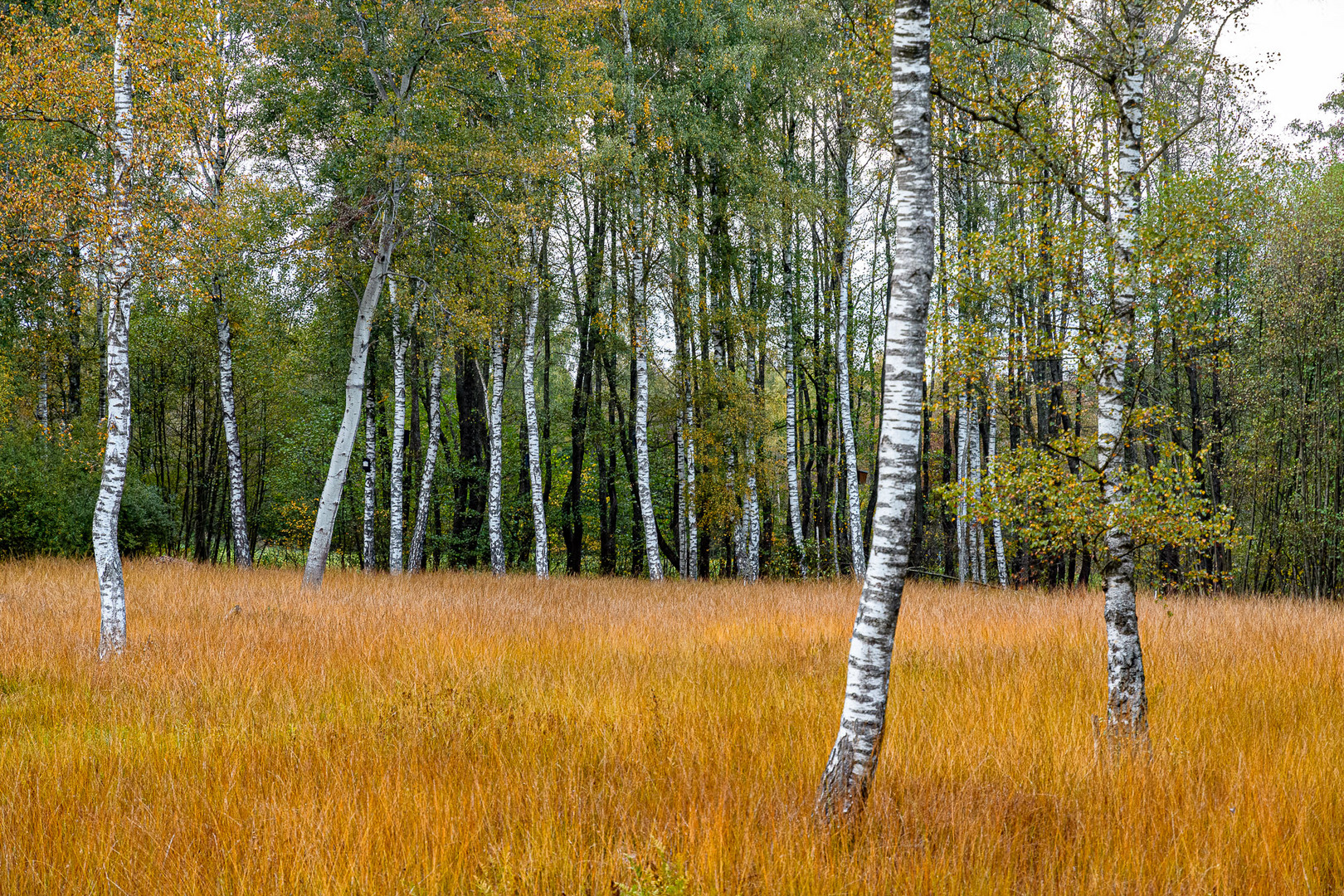 Herbstfarben