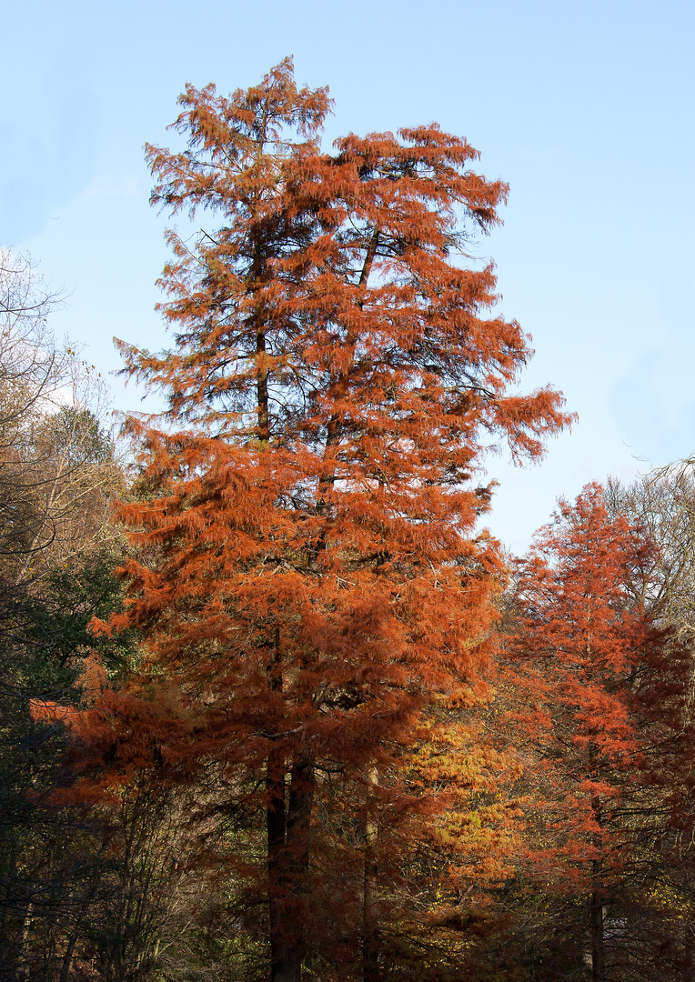 Herbstfarben