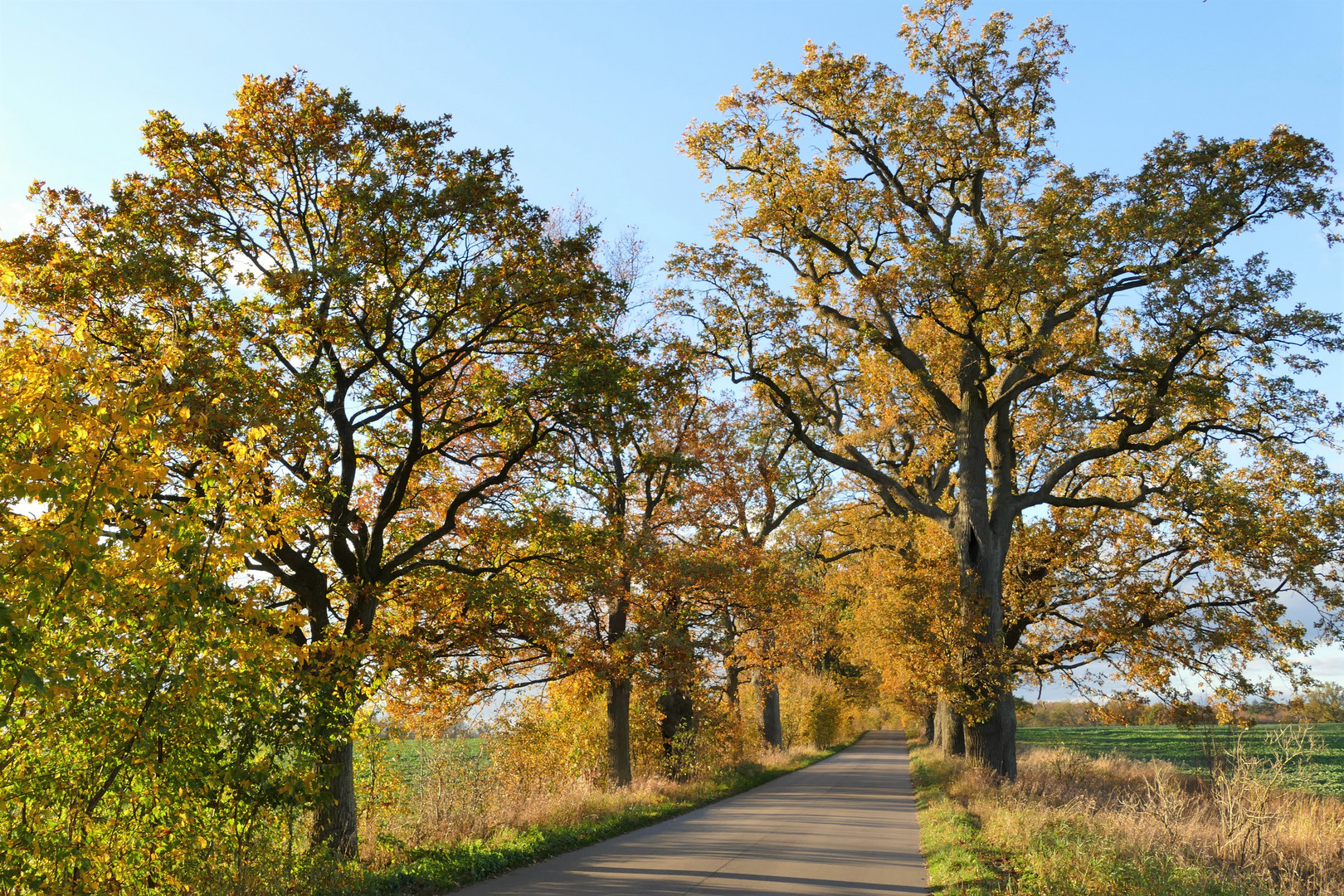 Herbstfarben