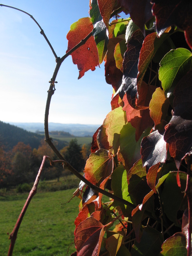 Herbstfarben